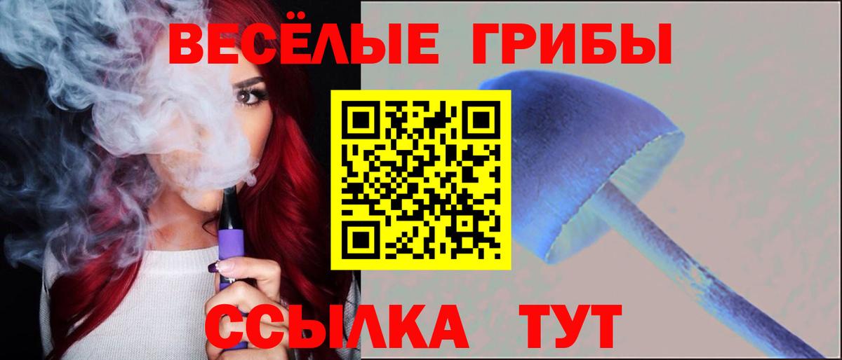 дарнет шоп  Псилоцибиновые грибы Psilocybine cubensis  Вход с VPN  Воткинск 